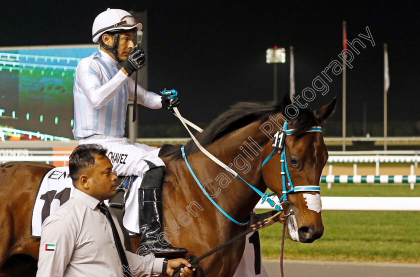 Road-Bloc-0001 
 ROAD BLOC (Oscar Chaves)
Meydan 3 Feb 2023 - Pic Steven Cargill / Racingfotos.com