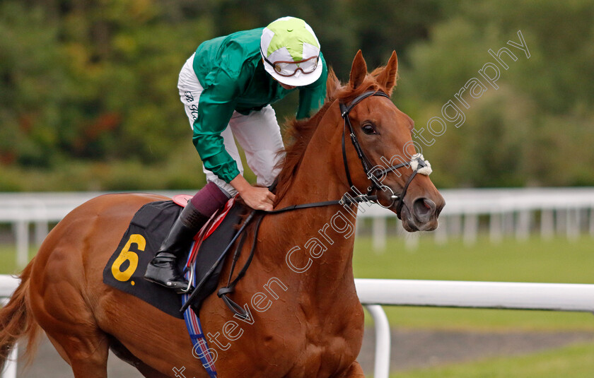 Nowhere-0003 
 NOWHERE (Rob Hornby)
Kempton 7 Aug 2024 - Pic Steven Cargill / Racingfotos.com