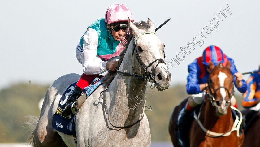 Logician-0021 
 LOGICIAN (Frankie Dettori) wins The William Hill St Leger Stakes
Doncaster 14 Sep 2019 - Pic Steven Cargill / Racingfotos.com