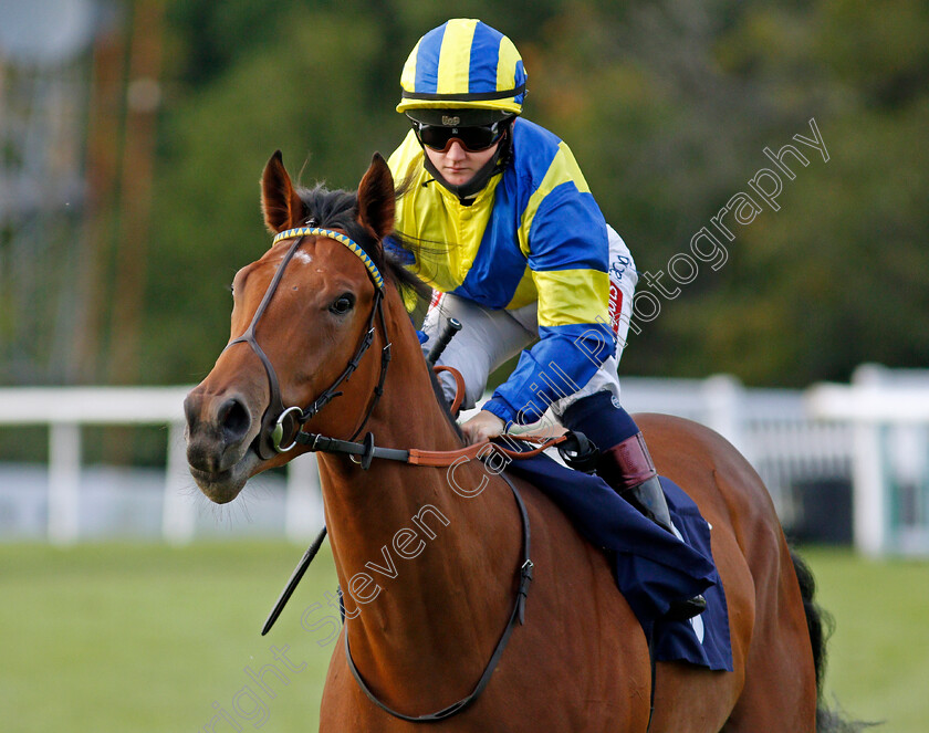 Hackness-Harry-0001 
 HACKNESS HARRY (Hollie Doyle)
Lingfield 26 Aug 2020 - Pic Steven Cargill / Racingfotos.com