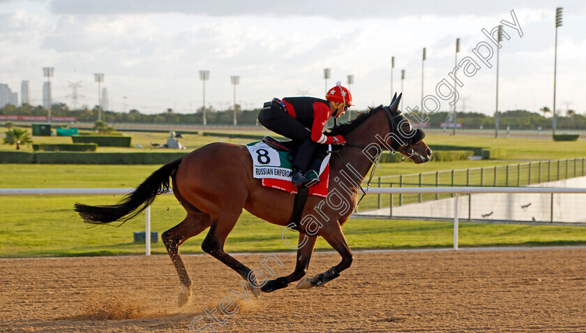 Russian-Emperor-0004 
 RUSSIAN EMPEROR training for the Sheema Classic
Meydan, Dubai, 23 Mar 2023 - Pic Steven Cargill / Racingfotos.com