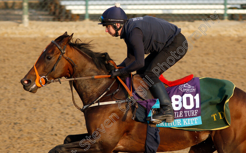 Arthur-Kitt-0001 
 ARTHUR KITT exercising ahead of The Breeders' Cup Juvenile Turf
Churchill Downs USA 31 Oct 2018 - Pic Steven Cargill / Racingfotos.com