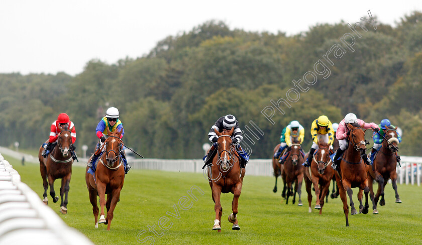 Piselli-Molli-0001 
 PISELLI MOLLI (centre, Morgan Cole) beats WINNETKA (left) in The Byerley Stud Racing Excellence Apprentice Handicap
Salisbury 2 Sep 2021 - Pic Steven Cargill / Racingfotos.com