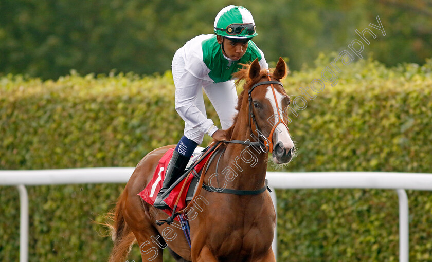 Qandil-0001 
 QANDIL (Tyrese Cameron)
Kempton 8 Sep 2023 - Pic Steven Cargill / Racingfotos.com