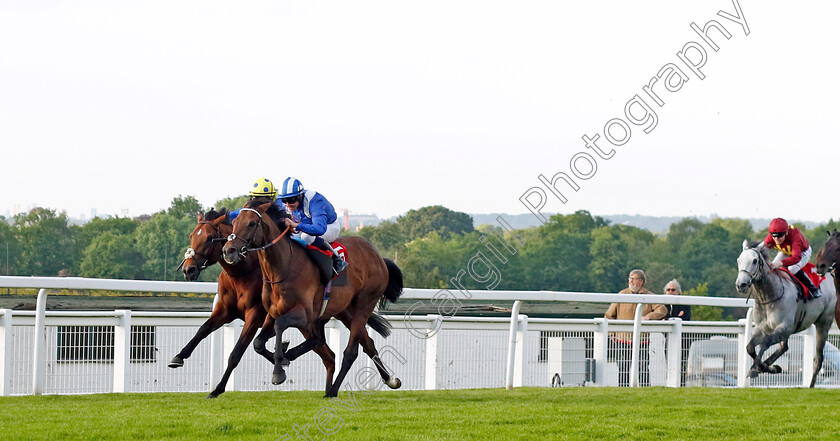 Hukum-0006 
 HUKUM (Jim Crowley) beats DESERT CROWN in The Racehorse Lotto Brigadier Gerard Stakes
Sandown 25 May 2023 - Pic Steven Cargill / Racingfotos.com