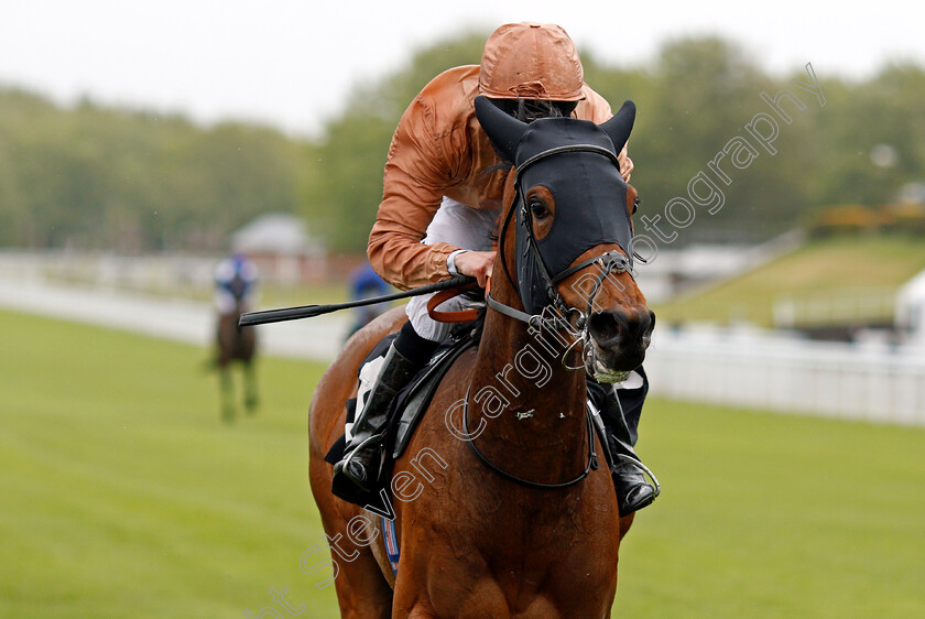 Ad-Infinitum-0007 
 AD INFINITUM (Jamie Spencer) wins The Height Of Fashion Stakes
Goodwood 21 May 2021 - Pic Steven Cargill / Racingfotos.com