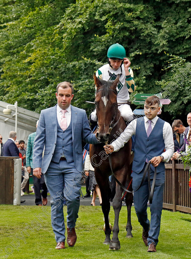 Porta-Fortuna-0011 
 PORTA FORTUNA (Ryan Moore) winner of The Tattersalls Falmouth Stakes
Newmarket 12 Jul 2024 - pic Steven Cargill / Racingfotos.com