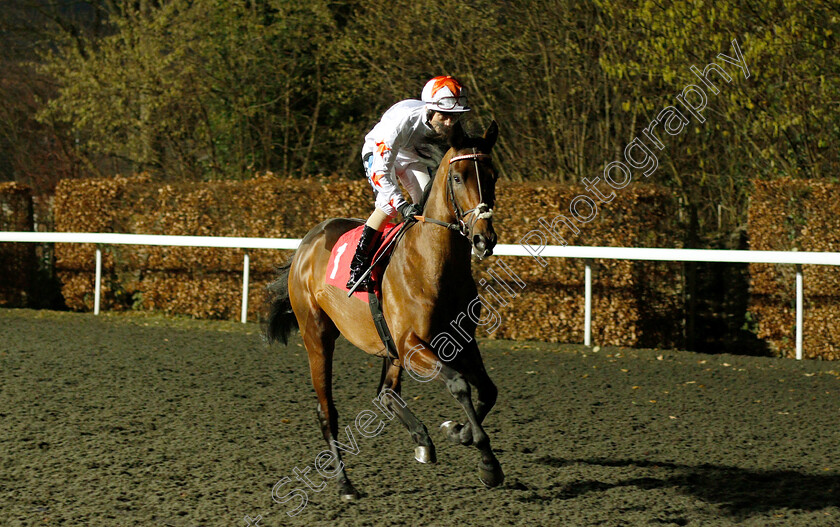 Al-Battar-0001 
 AL BATTAR (Stevie Donohoe)
Kempton 12 Dec 2018 - Pic Steven Cargill / Racingfotos.com