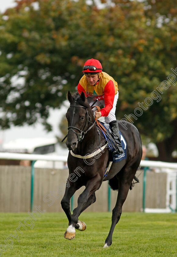 Abravaggio-0001 
 ABRAVAGGIO (John Egan)
Newmarket 22 Sep 2022 - Pic Steven Cargill / Racingfotos.com