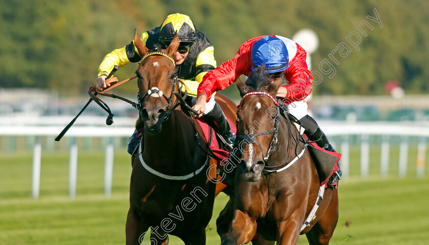 Persist-0003 
 PERSIST (right, Tom Marquand) beats ANGELS LANDING (left) in The British EBF Reprocolor Premier Fillies Handicap
Haydock 1 Sep 2022 - Pic Steven Cargill / Racingfotos.com