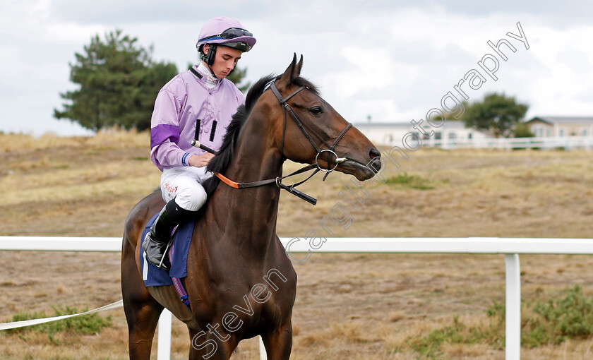 The-Gadget-Man-0008 
 THE GADGET MAN (Rossa Ryan) winner of The Moulton Nurseries Handicap
Yarmouth 15 Sep 2022 - Pic Steven Cargill / Racingfotos.com