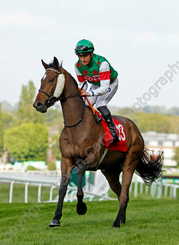 Tipsy-Tiger-0001 
 TIPSY TIGER (Pierre_Louis Jamin)
Sandown 26 Apr 2024 - Pic Steven Cargill / Racingfotos.com