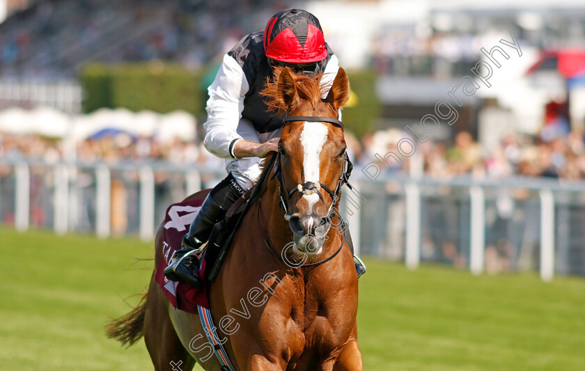 Kyprios-0001 
 KYPRIOS (Ryan Moore) wins The Al Shaqab Goodwood Cup
Goodwood 30 Jul 2024 - Pic Steven Cargill / racingfotos.com