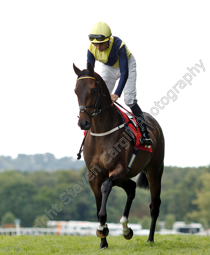 Persian-Rhapsody-0001 
 PERSIAN RHAPSODY (Kieran Shoemark)
Sandown 16 Jun 2018 - Pic Steven Cargill / Racingfotos.com