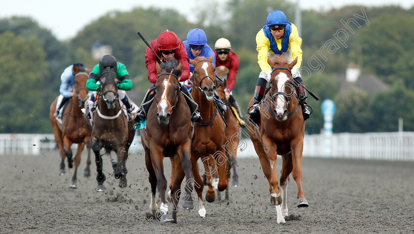 Sweet-Pearl-0004 
 SWEET PEARL (left, Oisin Murphy) beats GUROOR (right) in The British Stallion Studs EBF Fillies Novice Stakes
Kempton 29 Aug 2018 - Pic Steven Cargill / Racingfotos.com