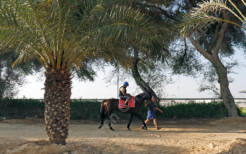 Alflaila-0001 
 ALFLAILA training for the Bahrain International Trophy
Kingdom of Bahrain 13 Nov 2024 - Pic Steven Cargill / Racingfotos.com