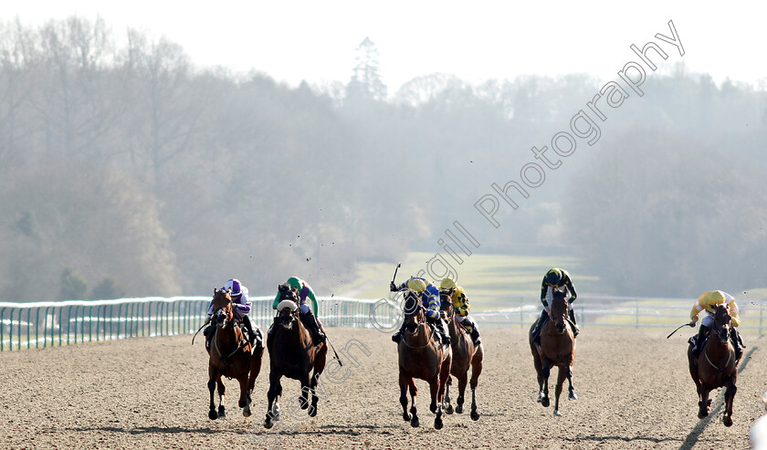 Gorgeous-Noora-0002 
 GORGEOUS NOORA (left, Hollie Doyle) beats ROYAL BIRTH (2nd left) in The Betway Hever Sprint Stakes
Lingfield 23 Feb 2019 - Pic Steven Cargill / Racingfotos.com