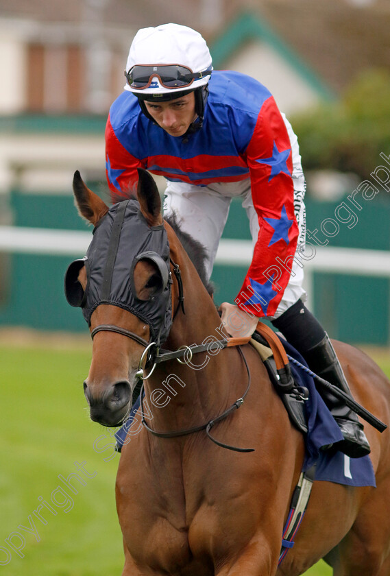 Mayo-Neighs-0008 
 MAYO NEIGHS (Rossa Ryan) winner of The Breast Cancer UK Nursery
Yarmouth 21 Sep 2023 - Pic Steven Cargill / Racingfotos.com