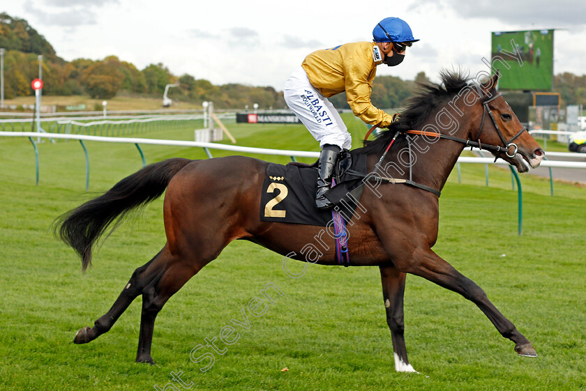 Mark-Of-Respect-0001 
 MARK OF RESPECT (Ben Curtis)
Nottingham 14 Oct 2020 - Pic Steven Cargill / Racingfotos.com