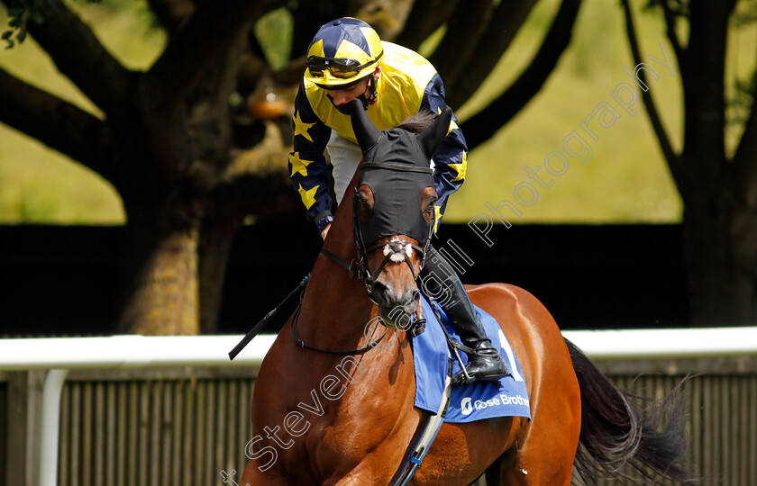 Desert-Encounter-0001 
 DESERT ENCOUNTER (Shane Kelly)
Newmarket 26 Jun 2021 - Pic Steven Cargill / Racingfotos.com