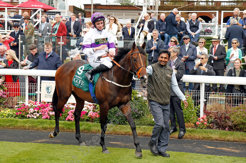 Diligently-0009 
 DILIGENTLY (Rossa Ryan) winner of The Harry's Half Million By Goffs Premier Yearling Stakes
York 22 Aug 2024 - Pic Steven Cargill / Racingfotos.com