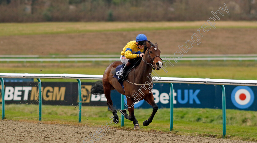 Sun-God-0005 
 SUN GOD (Trevor Whelan) wins The Boost Your Acca At Betmgm Nursery
Lingfield 23 Dec 2023 - Pic Steven Cargill / Racingfotos.com