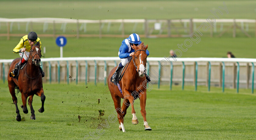 Ehraz-0005 
 EHRAZ (Jim Crowley) wins The British Stallion Studs EBF Conditions Stakes
Newmarket 28 Oct 2022 - Pic Steven Cargill / Racingfotos.com