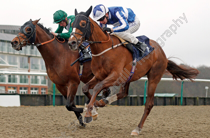 Aiya-0004 
 AIYA (right, Oisin Murphy) beats SOTOMAYOR (left) in The Betway Handicap Lingfield 3 Feb 2018 - Pic Steven Cargill / Racingfotos.com