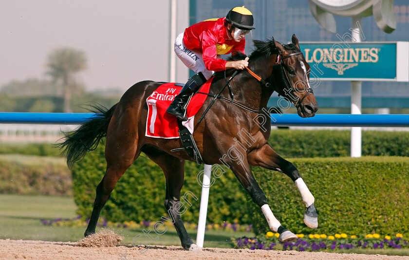 Yulong-Warrior-0007 
 YULONG WARRIOR (Richard Mullen) wins The Al Bastikiya Meydan Dubai 10 Mar 2018 - Pic Steven Cargill / Racingfotos.com