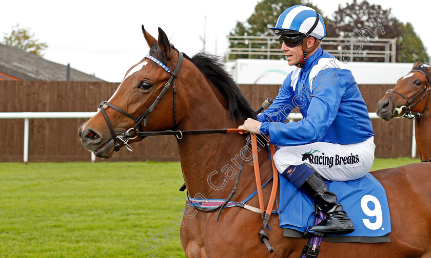 Turaath-0001 
 TURAATH (Jim Crowley)
Leicester 10 Sep 2019 - Pic Steven Cargill / Racingfotos.com