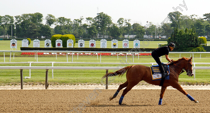 Justify-0009 
 Leaving history behind? JUSTIFY passes the names of all Triple Crown winners during exercise in preparation for The Belmont Stakes where he bids to become the 13th Triple Crown winner
Belmont Park 8 Jun 2018 - Pic Steven Cargill / Racingfotos.com