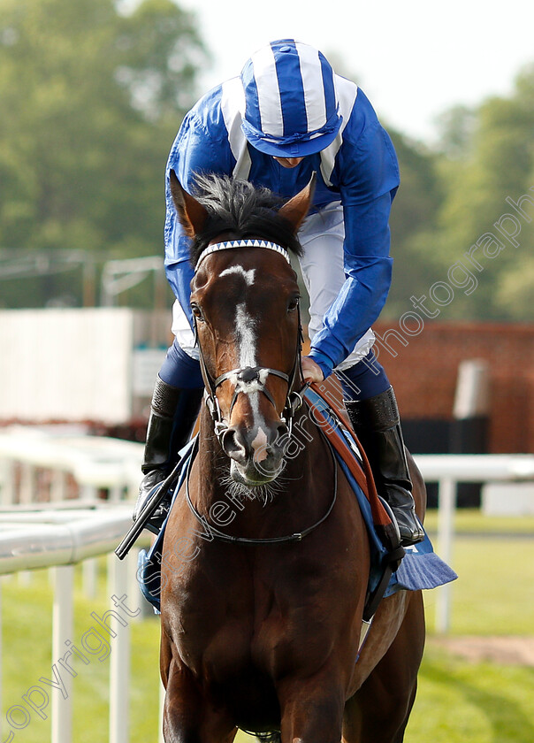 Okool-0001 
 OKOOL (Jim Crowley)
York 16 May 2018 - Pic Steven Cargill / Racingfotos.com