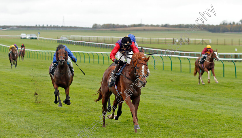 Pied-Piper-0002 
 PIED PIPER (Robert Havlin) wins The Rossdales Laboratories Maiden Stakes
Newmarket 21 Oct 2020 - Pic Steven Cargill / Racingfotos.com