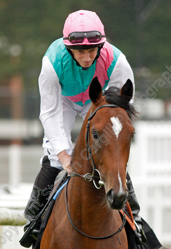 Oslo-0002 
 OSLO (Ryan Moore)
Newbury 19 Jul 2019 - Pic Steven Cargill / Racingfotos.com