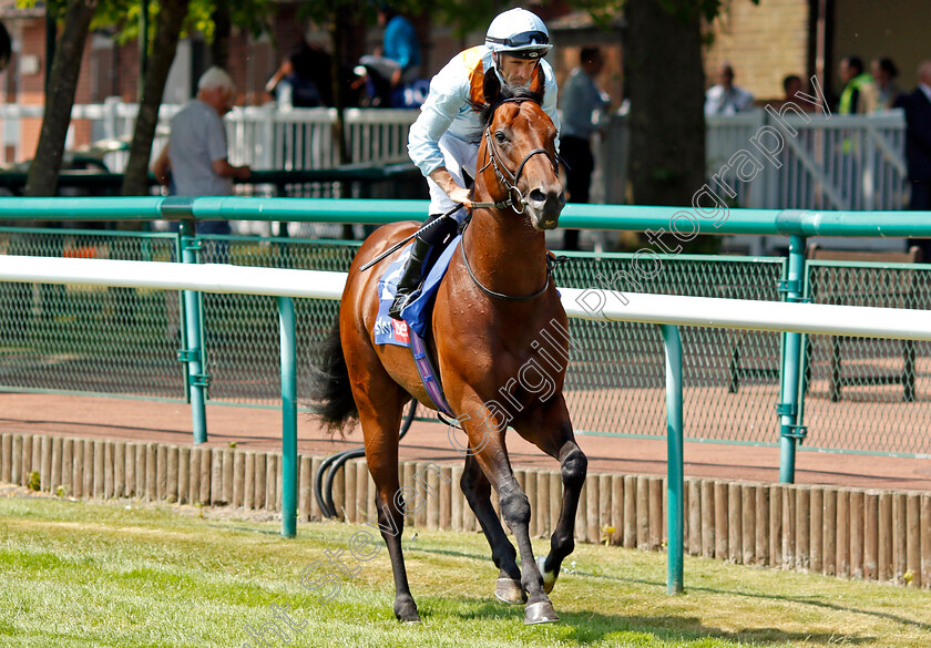 Clarendon-House-0001 
 CLARENDON HOUSE (Neil Callan)
Haydock 10 Jun 2023 - Pic Steven Cargill / Racingfotos.com