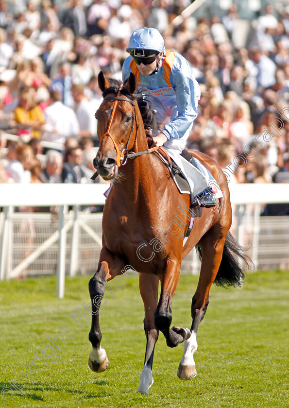 Raymond-Tusk-0001 
 RAYMOND TUSK (Jamie Spencer)
York 24 Aug 2019 - Pic Steven Cargill / Racingfotos.com