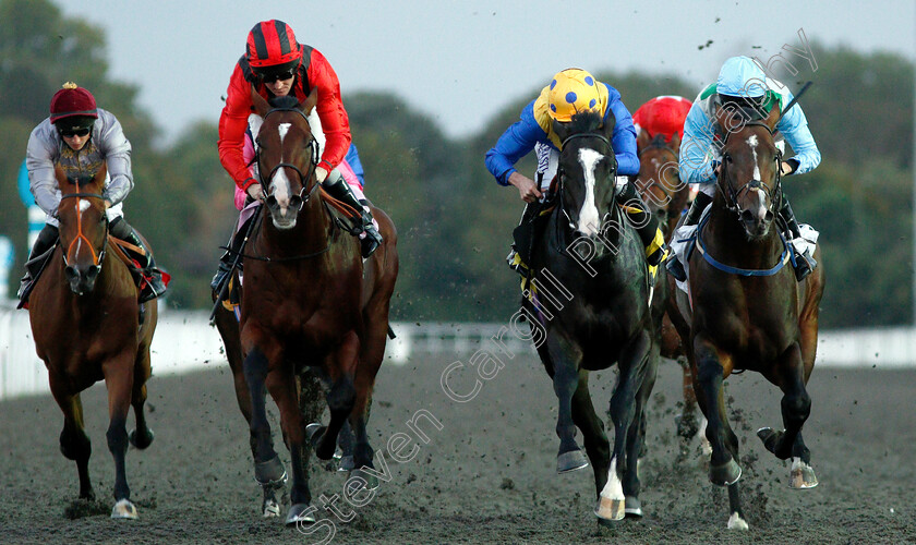 Ledham-0004 
 LEDHAM (2nd right, Ryan Moore) beats HOMBRE CASADO (2nd left) and SIR HAMILTON (right) in The 32Red Handicap
Kempton 18 Sep 2018 - Pic Steven Cargill / Racingfotos.com