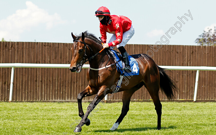 Mr-McCann-0001 
 MR MCCANN (Richard Kingscote)
Leicester 1 Jun 2021 - Pic Steven Cargill / Racingfotos.com