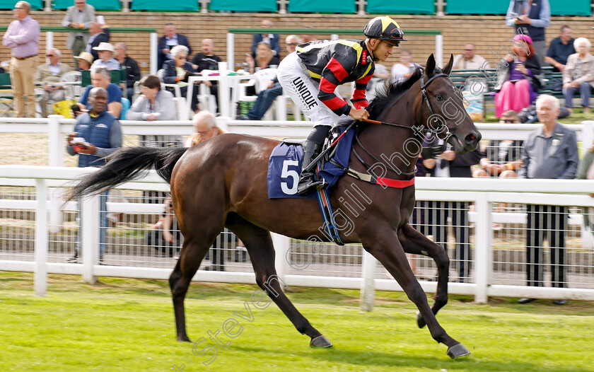 Global-Volition-0001 
 GLOBAL VOLITION (Thore Hammer Hansen)
Yarmouth 13 Sep 2022 - Pic Steven Cargill / Racingfotos.com