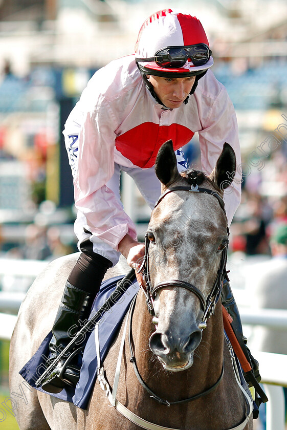 Misty-Grey-0001 
 MISTY GREY (Ryan Moore)
Doncaster 11 Sep 2019 - Pic Steven Cargill / Racingfotos.com