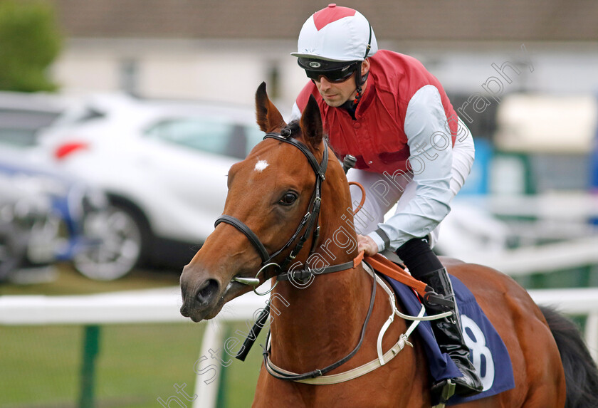 Empire-Of-Light-0001 
 EMPIRE OF LIGHT (Jack Mitchell)
Yarmouth 21 Sep 2023 - Pic Steven Cargill / Racingfotos.com