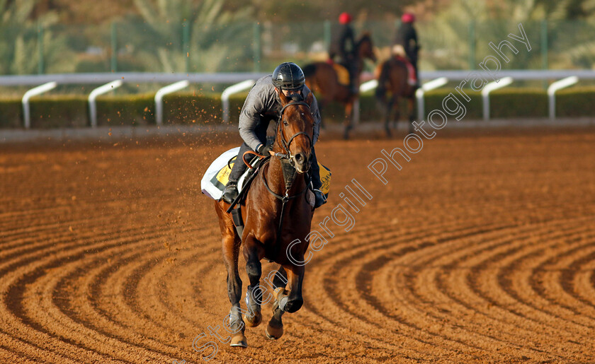 Hearts-Concerto-0002 
 HEARTS CONCERTO training for The Neom Turf Cup
King Abdulaziz Racecourse, Saudi Arabia 20 Feb 2024 - Pic Steven Cargill / Racingfotos.com