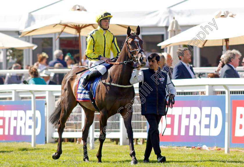 Bright-Diamond-0001 
 BRIGHT DIAMOND (Clifford Lee)
Epsom 2 Jun 2023 - Pic Steven Cargill / Racingfotos.com