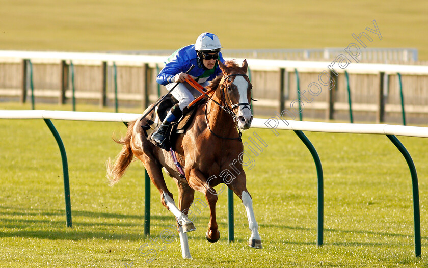 Balgair-0003 
 BALGAIR (Ross Birkett) wins The Close Brothers Invoice Finance Amateur Jockeys Cambridgeshire Handicap
Newmarket 19 Sep 2020 - Pic Steven Cargill / Racingfotos.com