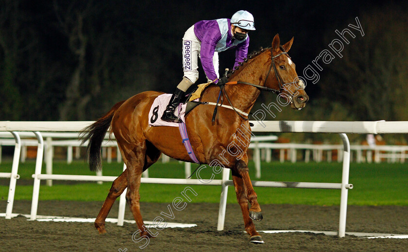 Tribal-Craft-0001 
 TRIBAL CRAFT (David Probert)
Kempton 2 Dec 2020 - Pic Steven Cargill / Racingfotos.com