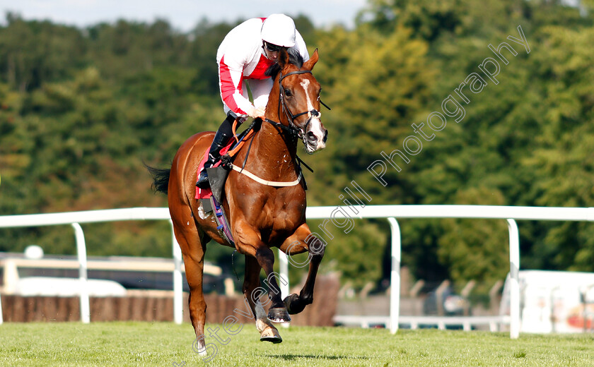 Goshen-0003 
 GOSHEN (Hector Crouch) wins The Carpetright Supports The BHF Handicap
Sandown 14 Jun 2019 - Pic Steven Cargill / Racingfotos.com