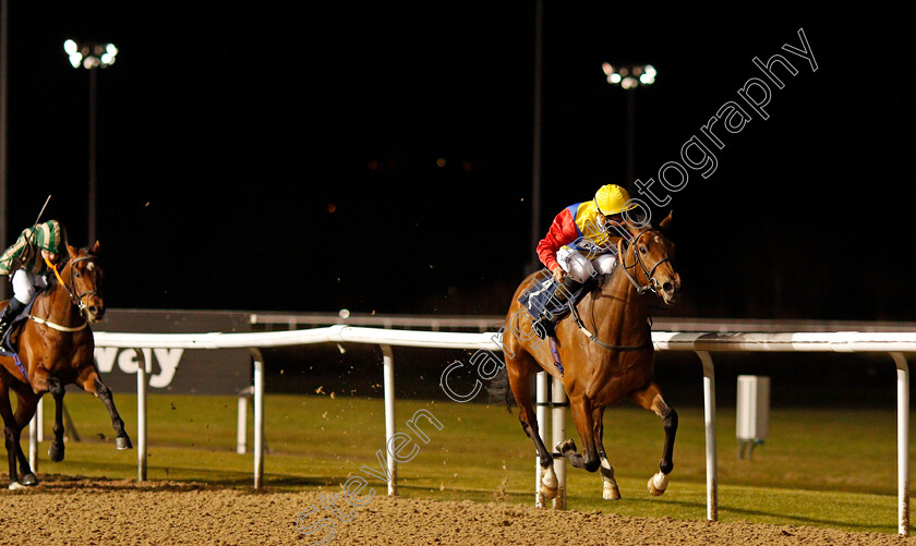 Swallowdale-0002 
 SWALLOWDALE (Tyler Saunders) wins The Play Ladbrokes 5-A-Side On Football Handicap
Wolverhampton 12 Mar 2021 - Pic Steven Cargill / Racingfotos.com