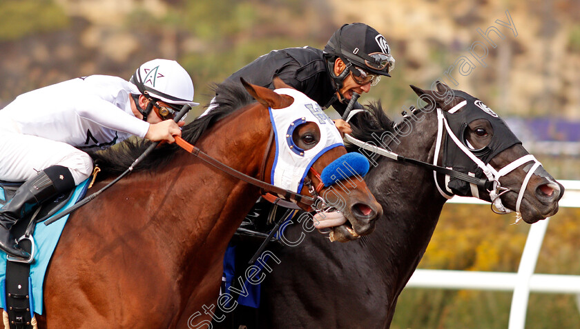 Battle-Of-Midway-0001 
 BATTLE OF MIDWAY (left, Flavian Prat) beats SHARP AZTECA (right) in The Breeders' Cup Dirt Mile, Del Mar USA 3 Nov 2017 - Pic Steven Cargill / Racingfotos.com