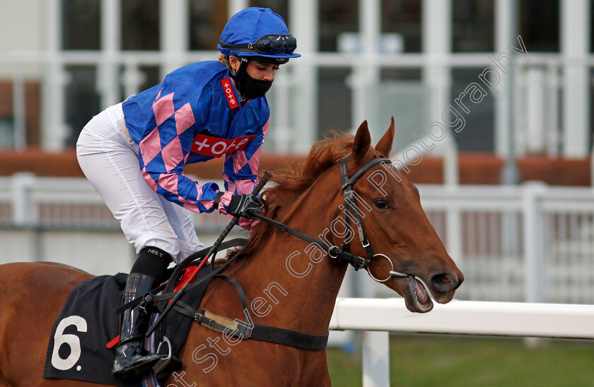 Amanda s-Wish-0001 
 AMANDA'S WISH (Grace McEntee)
Chelmsford 8 Oct 2020 - Pic Steven Cargill / Racingfotos.com