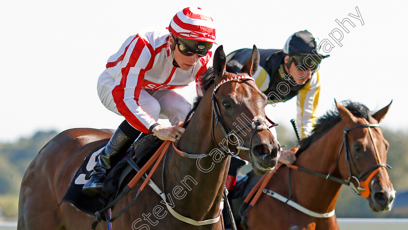 Smokey-Bear-0006 
 SMOKEY BEAR (Jason Watson) wins The British Stallion Studs EBF Maiden Stakes Div2
Newbury 20 Sep 2019 - Pic Steven Cargill / Racingfotos.com